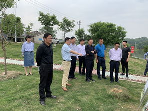 谷里街道人大工委聚焦水環(huán)境污染治理 專題視察活動助力生態(tài)環(huán)境改善