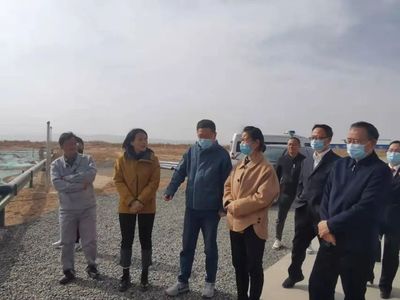 中衛市中級法院院長何莉回訪調研環境污染修復治理工作